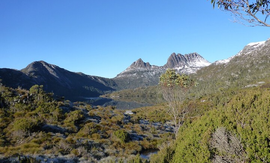 Image 6: 5 Day Island Icons Tassie Day Tour Bundle