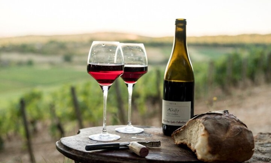 Image 5: Excursion d'une journée complète de Bordeaux à Saint Émilion avec d...