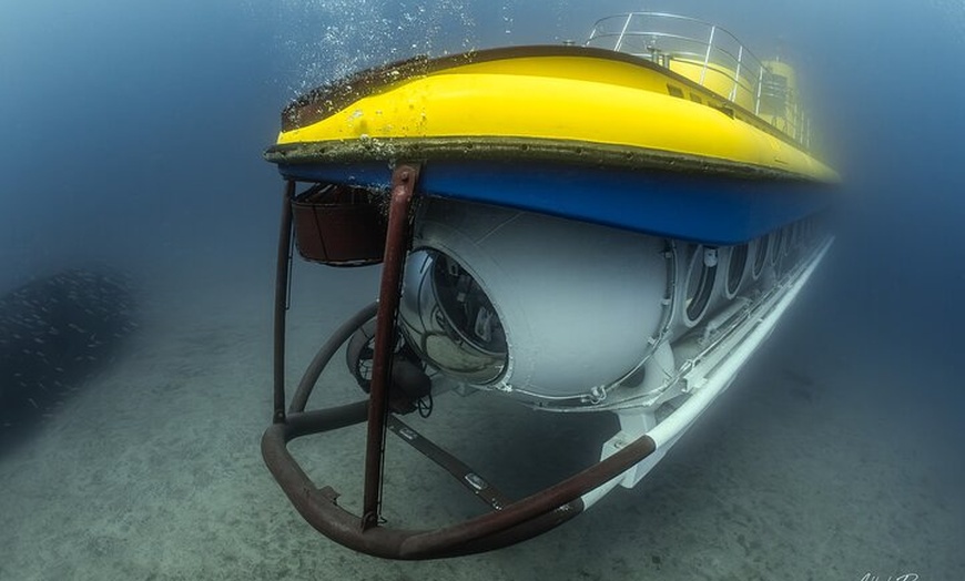 Image 8: Tour Submarino con Recogida en Hotel Tenerife Sur