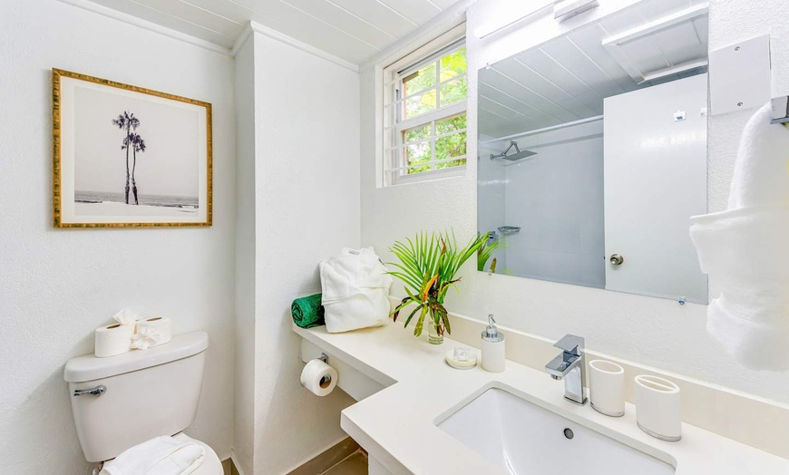 Image 13: ✈ BARBADE | Saint James - The Palms Resort 3*, 5 nuit - Bord de mer