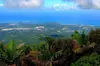 El Yunque Rainforest Guided Tour