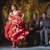 Image 16: Espectáculo flamenco en Torres Bermejas de Madrid