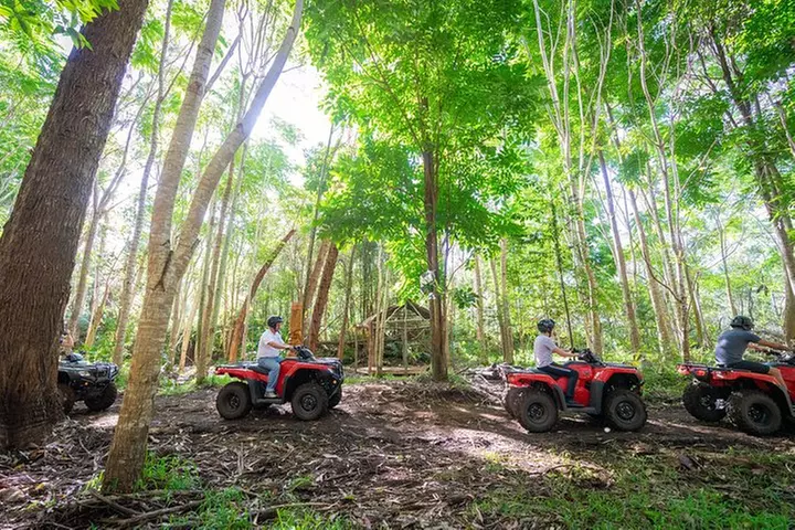 Polynesian Cultural ATV Tour