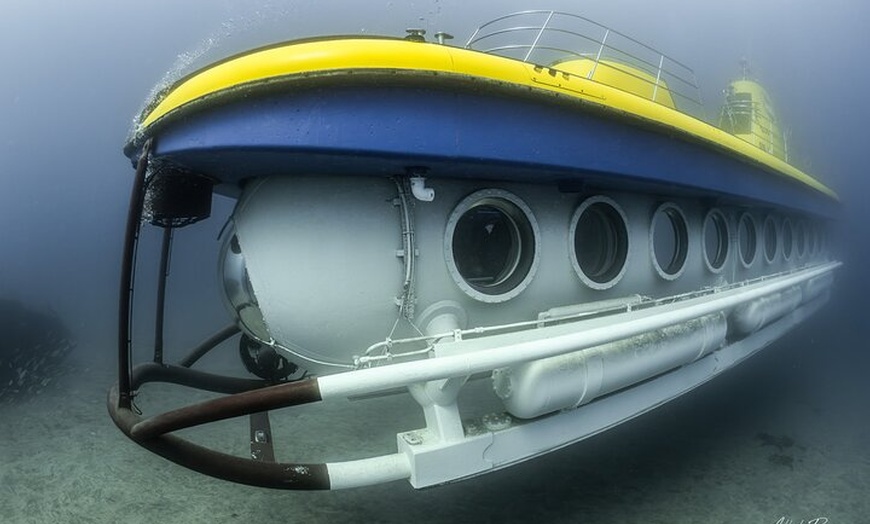 Image 9: Tour Submarino con Recogida en Hotel Tenerife Sur
