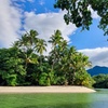 Image 1: Private Luxury Daintree Dream Tour All Inclusive
