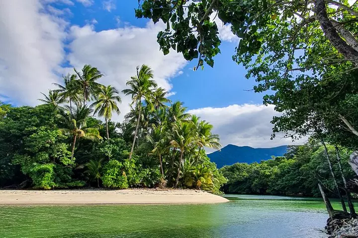 Private Luxury tour Daintree Dream Experience - Primary Image