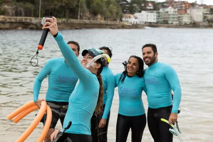 Open Group Snorkelling Experience - Primary Image