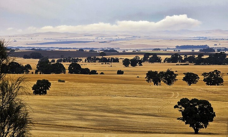 Image 17: Burra Township to Mount Bryan History and Landscape Day Tour