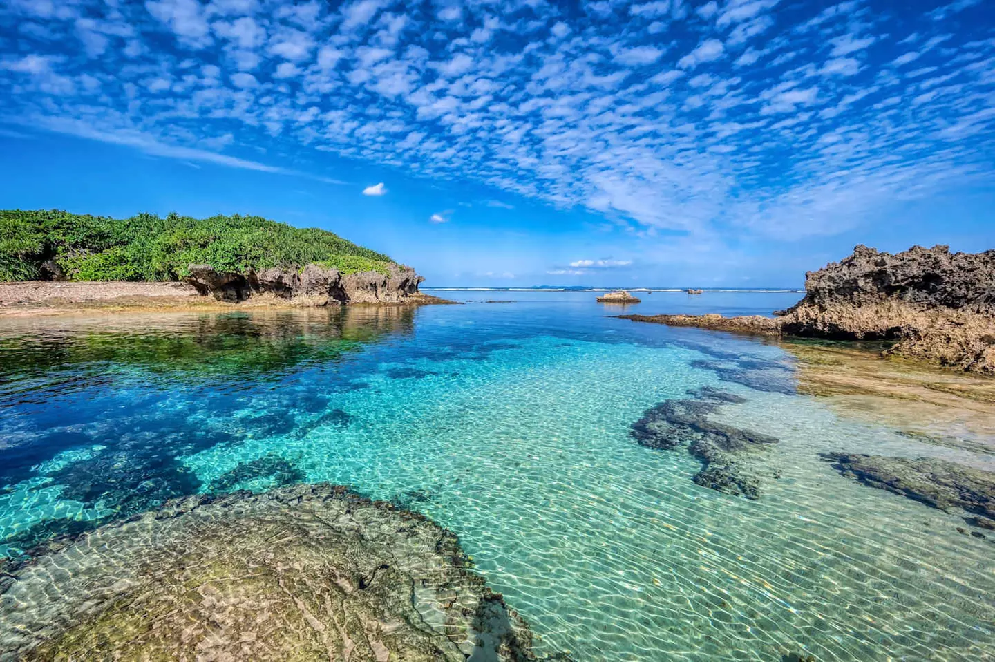 ✈ GIAPPONE | Da Tokyo a Osaka - Paradiso Giapponese: Tokyo, Kyoto, ...