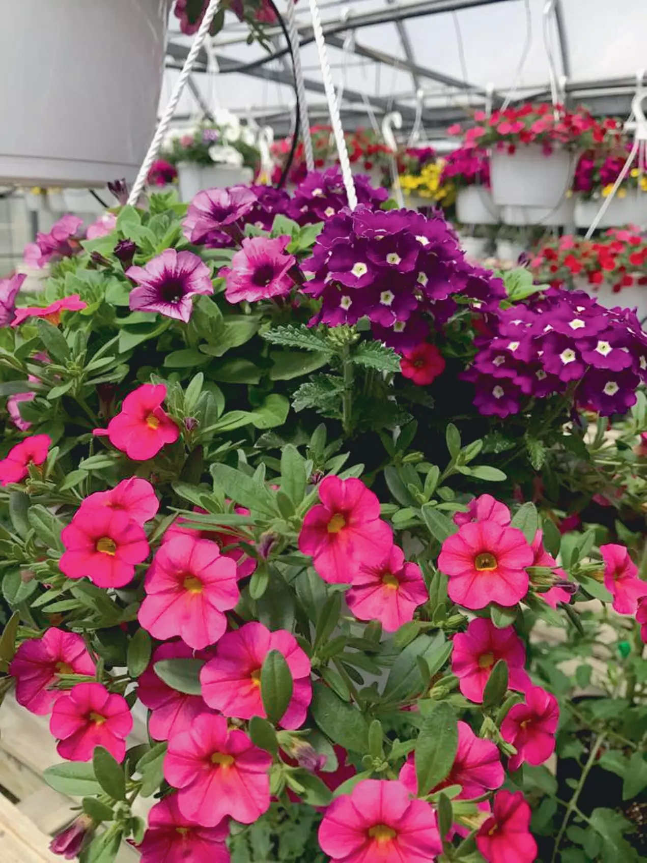 $20 For $40 Worth Of Goods & Services