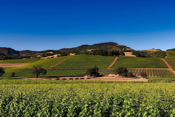 San Francisco - Sonoma Napa Valley: Premium Chauffeur Transfer - Primary Image