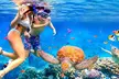 Honolulu Sailing and Snorkeling Activity - Second Medium