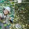 Image 15: Lane Poole Park Dwellingup - Junior Tree Ropes & Ziplining