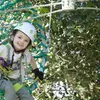 Image 15: Lane Poole Park Dwellingup - Junior Tree Ropes & Ziplining