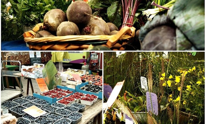 Image 16: Essen wie ein Berliner : Marktführung, Kochkurs und Mittagessen