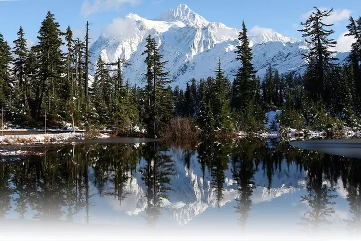 Bellingham to Mt. Baker Experience - Primary Image