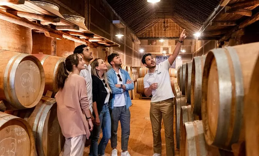Image 3: Tour de la Ciudad de Toledo y Visita a Bodega con Cata de Vinos des...