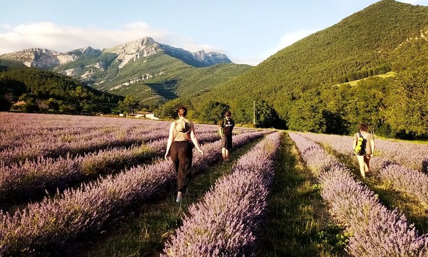 Image 2: Randonnée Familiale dans les Champs de Lavande du Vercors