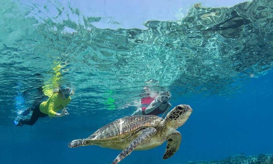 Image 1: Silverswift Dive and Snorkel Great Barrier Reef Cruise