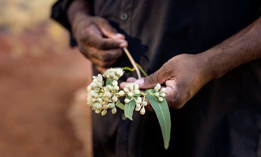 Image 17: 3-Day Kings Canyon & West MacDonnell Ranges 4WD Camping Tour