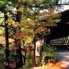 Image 8: Atlanta Stone Mountain Park Private Tour