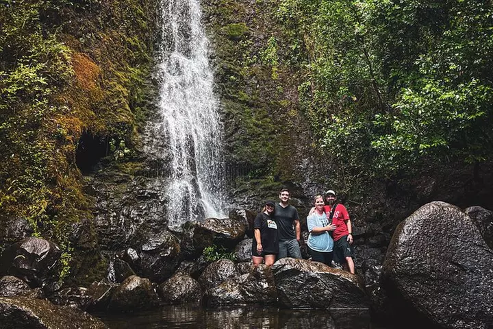 Waterfall Hike in Hawai'i Rainforest Trail