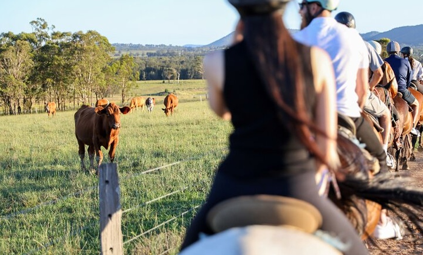 Image 10: Hunter Valley Horse Ride - 90 Minutes -Vineyard & Mountain Views