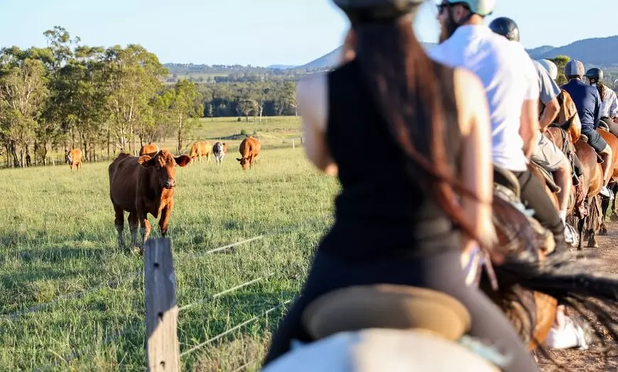 Image 10: Hunter Valley Horse Ride - 90 Minutes -Vineyard & Mountain Views