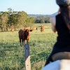 Image 10: Hunter Valley Horse Ride - 90 Minutes -Vineyard & Mountain Views