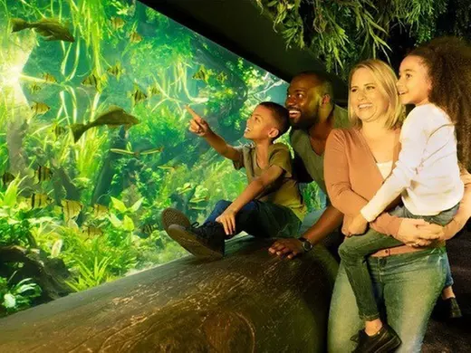 Tickets to see SEA LIFE London Anytime Entry