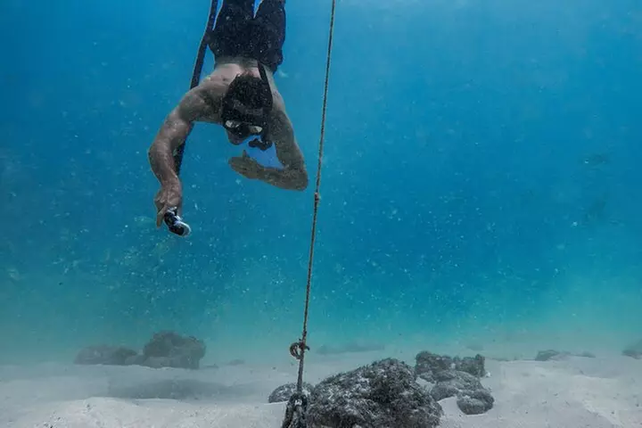 Moana's Waikīkī Grand Guided Turtle Snorkel & Sailing Adventure