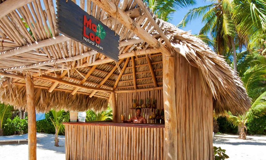 Image 24: ✈ REPUBBLICA DOMINICANA | Punta Cana - Catalonia Royal Bavaro Adult...