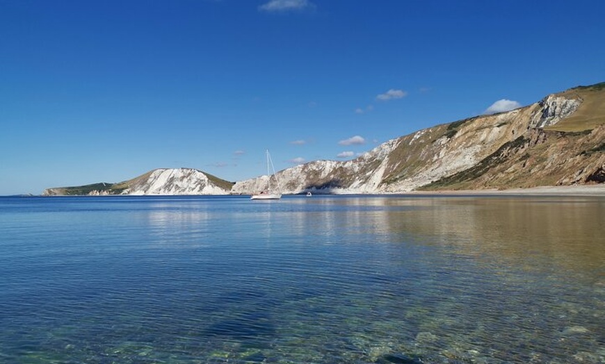 Image 5: E-Bike excursions from Wareham, Dorset
