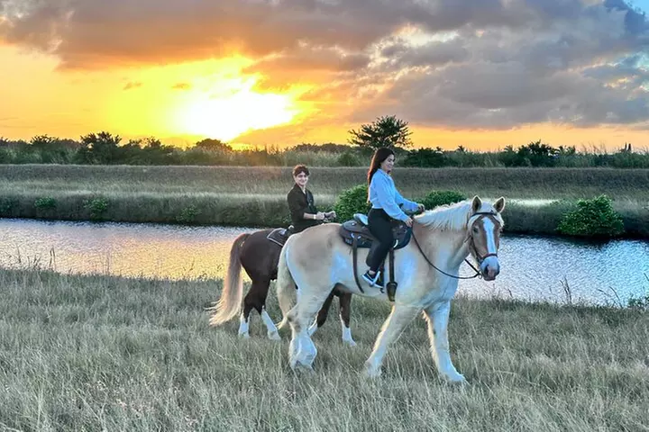Horseback Riding in Miami