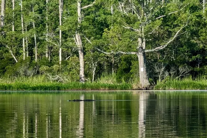Alligator River Refuge at Buffalo City