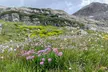 Georgetown via Guanella Pass Private Colorado Adventure Tour - Second Medium