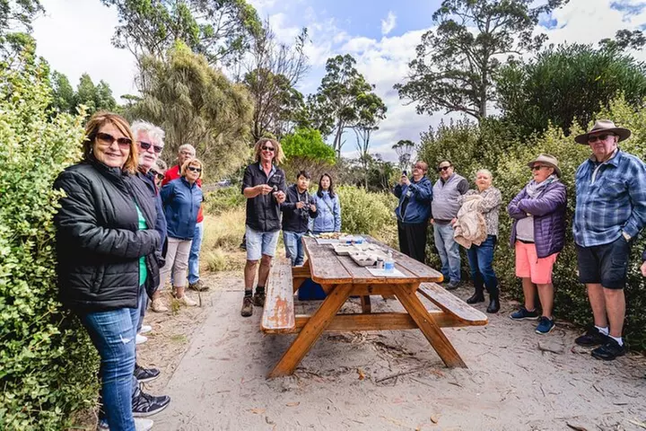 Bruny Island Food, Sightseeing, Guided Lighthouse Tour & Lunch