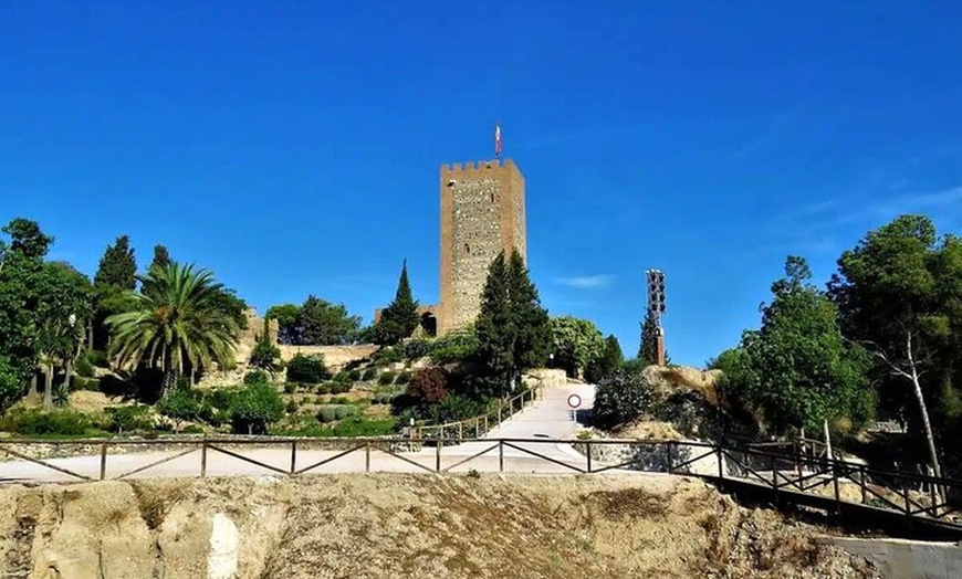 Image 4: Bus Turístico Vélez Málaga a Torre del Mar