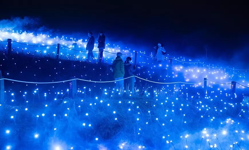 Image 4: Astra Lumina Night Walk at Currumbin Wildlife Sanctuary