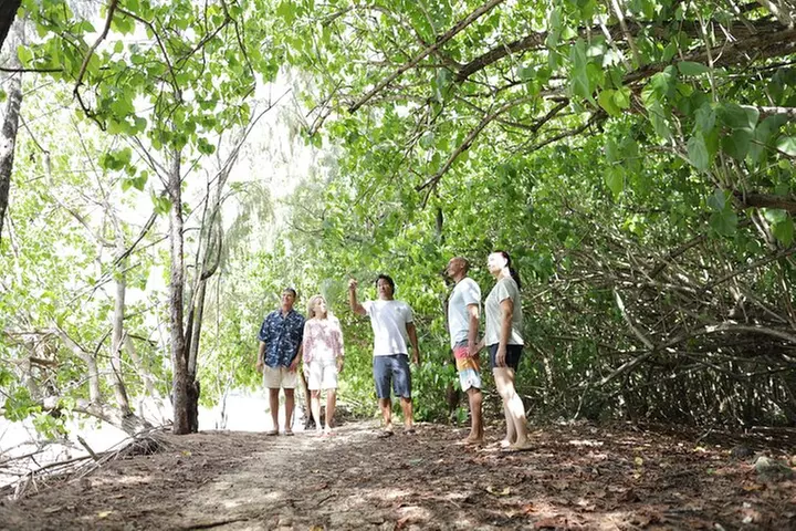 Oahu Uncovered: Full Island Tour with a Local Guide