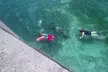 San Juan Snorkel with Manatees and Turtles with Free Rum - Second Medium