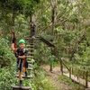 Image 4: Treetop Challenge Adrenaline Pass