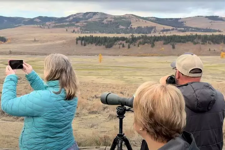 Yellowstone PRIVATE Winter SAFARI and Wolf Watching