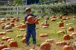 Become a Ranch Hand for a Day in Fredericksburg - Second Medium