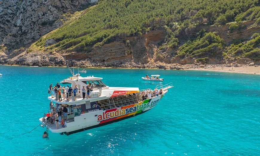 Image 20: Dolphin Adventure : Avistamiento de Delfines en Barco Rápido en Mal...