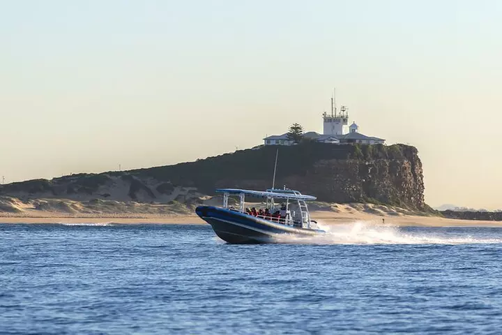 Humpback Whale Encounter Tour from Newcastle