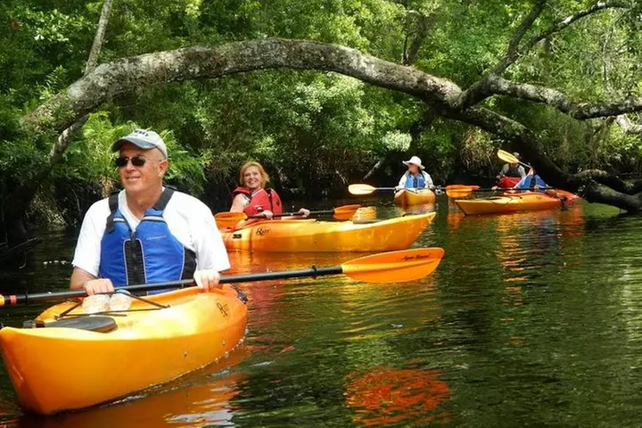 Lofton Creek Kayaking Trip with Professional Guide