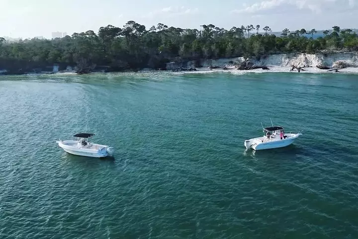 Swim with Dolphins And Snorkeling Group Tour - Second Medium