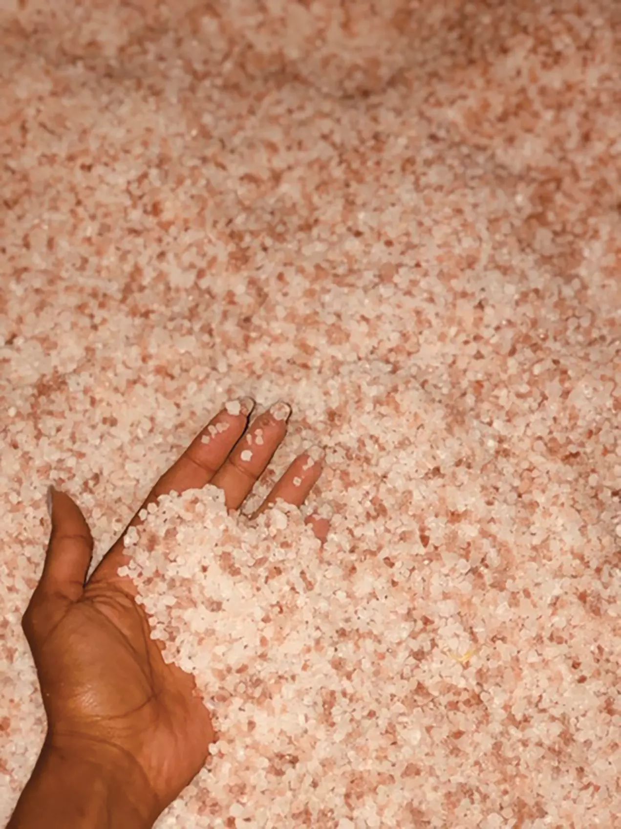 $17.50 For A 45-Minute Halotherapy Session (Reg. $35) - Primary Image