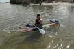 Dolphin and Manatee Clear Kayak or Paddleboard Tour - Second Medium